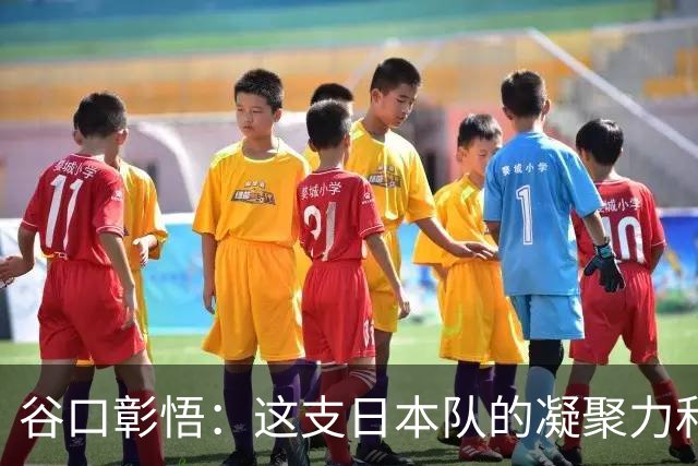谷口彰悟：这支日本队的凝聚力和团队精神，是我生涯见过最强的